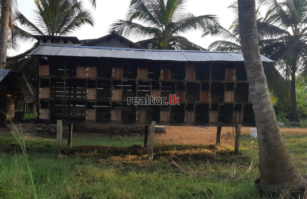 Land For Sale At Puttalam