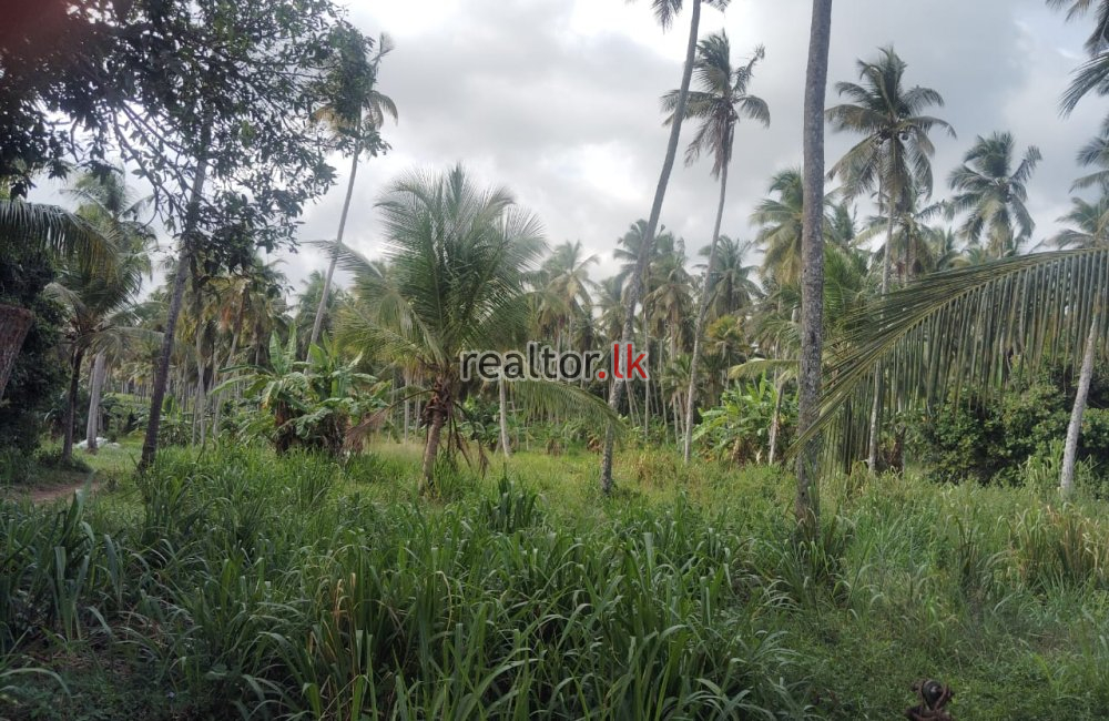 Land For Sale At Godigomuwa Divulapitiya