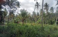 Land For Sale At Godigomuwa Divulapitiya
