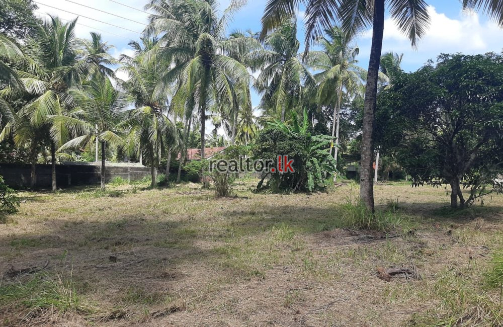 Land For Sale At Nugawela Road Weralugama Pannala