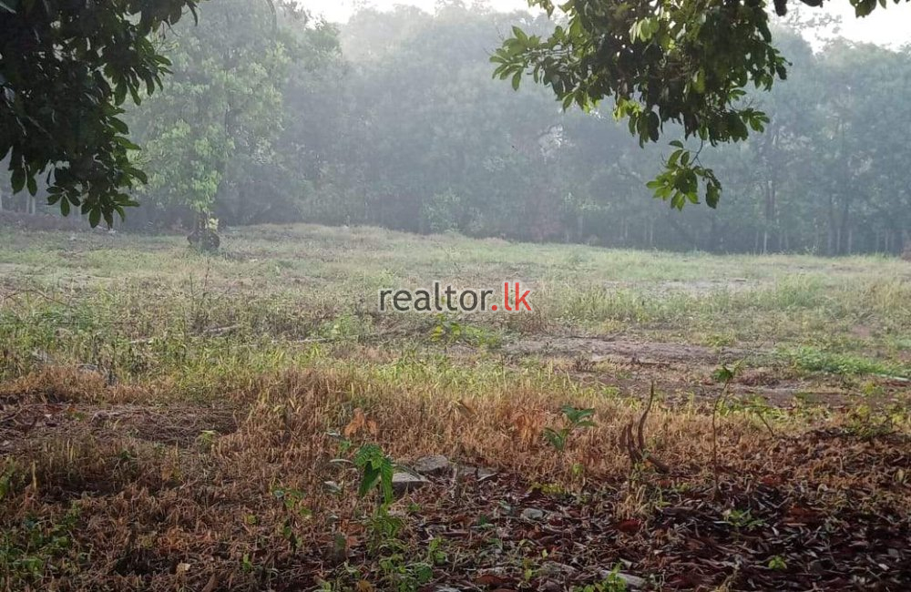 Land for Sale in Kaduwela