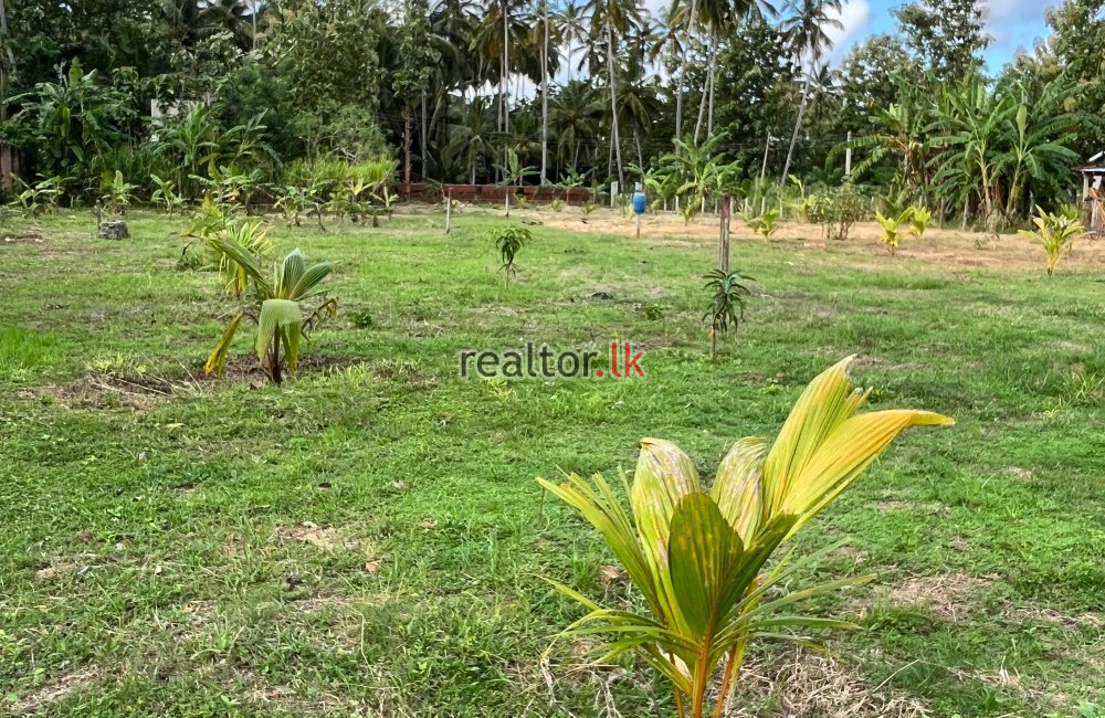 Land For Sale In Kochchikade Negombo