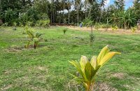 Land For Sale In Kochchikade Negombo