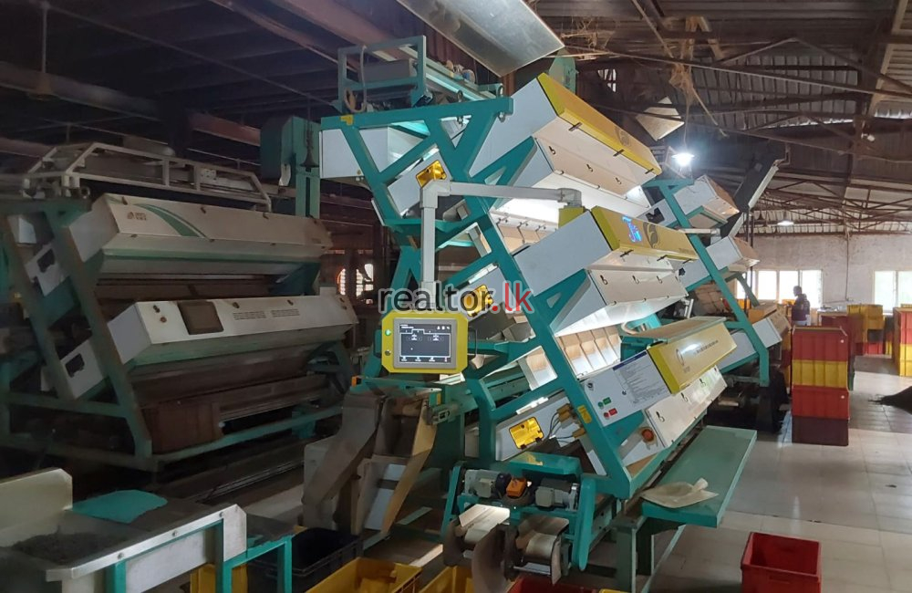 Tea Factory For Sale At Panapitiya