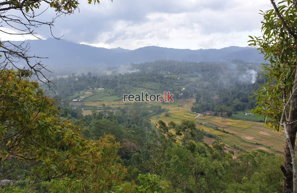 Land For Sale In Welimada