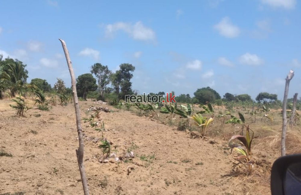 Mundalama Land For Sale