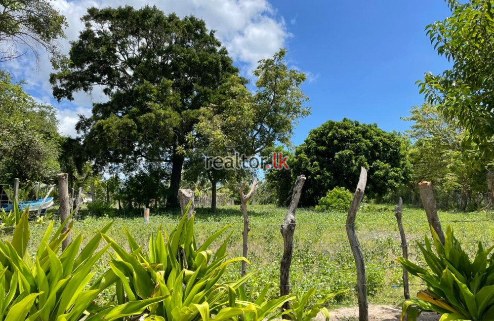 Beachfront Land For Sale In Thakkandi Nilaweli