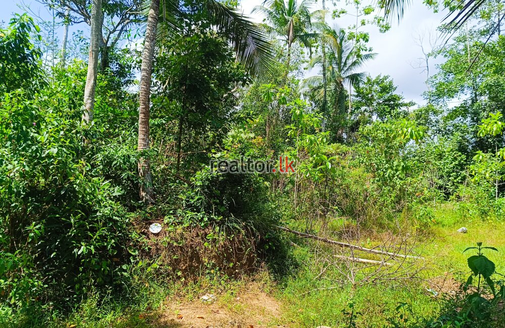 Commercial Land For Rent At Wadduwa