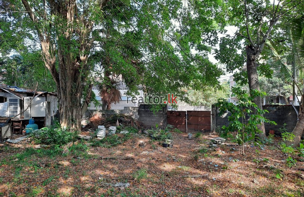 Land For Sale At Andarawatta Road Colombo 05