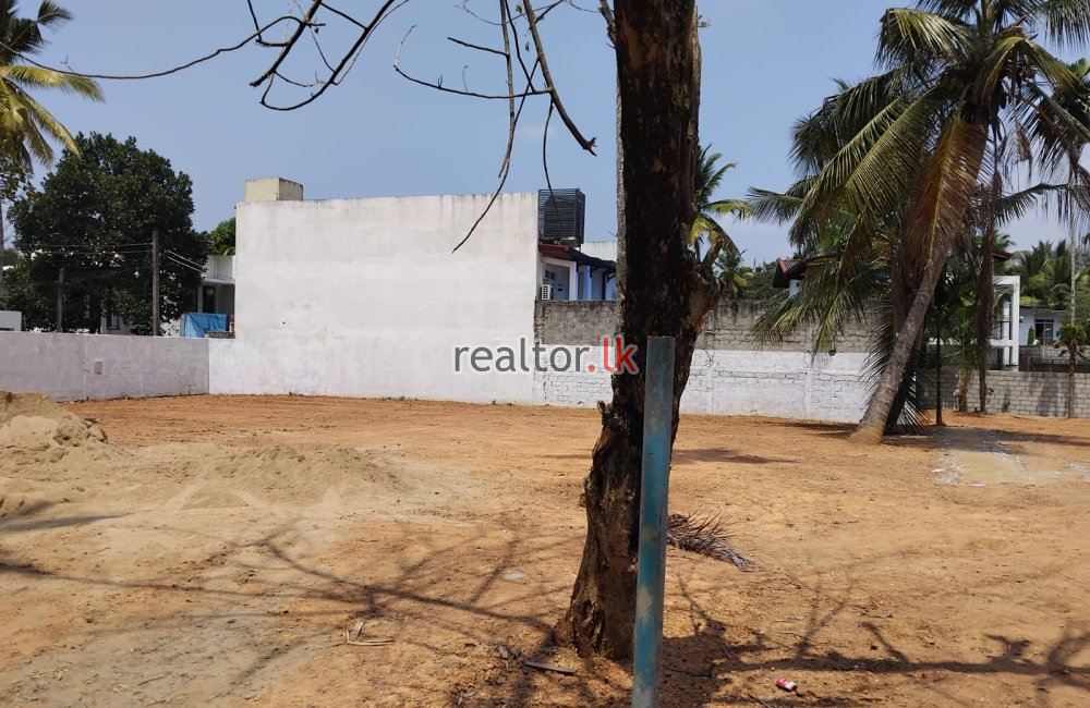 Land For Sale In Nugadeniya Kandy