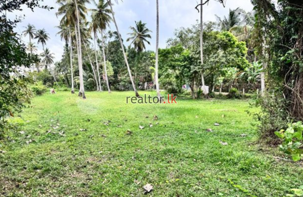 Land For Sale In Madatiyagahawatta Hettipola