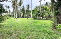 Land For Sale In Madatiyagahawatta Hettipola