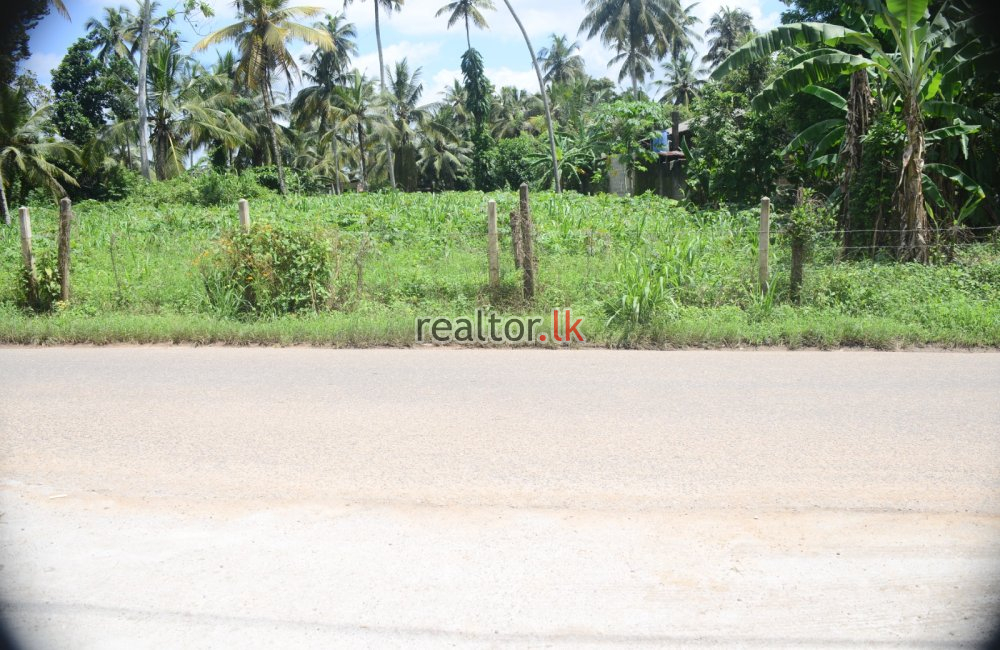 Land For Lease Gampaha Kalagedihena