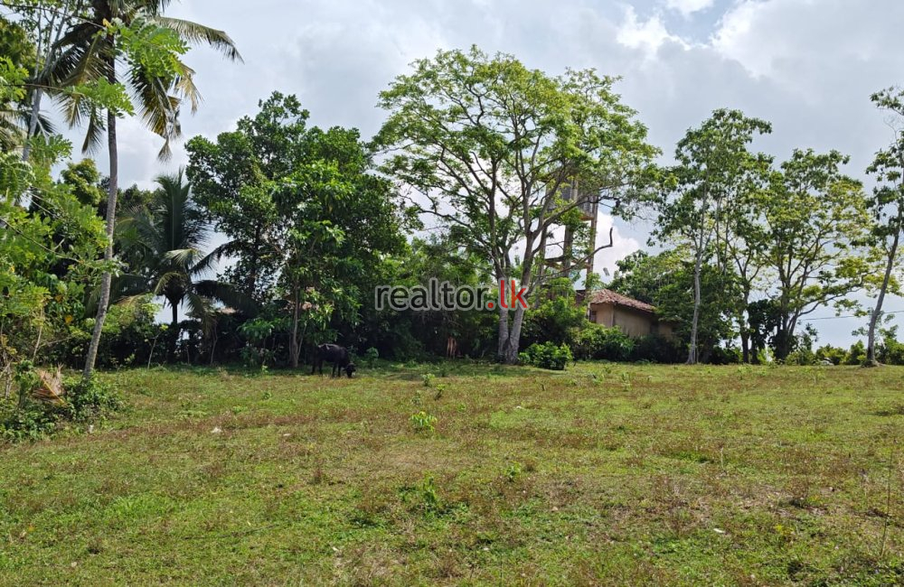 Lake Front Land For Sale At Koggala