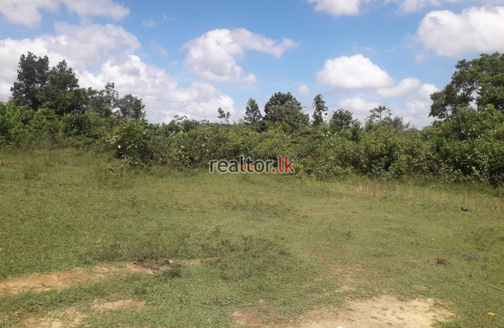 Malagala Land For Sale