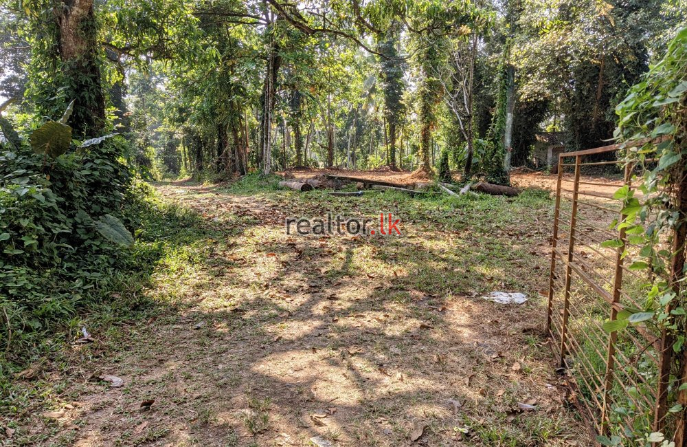 Land For Sale At Artigala Rd Meegoda