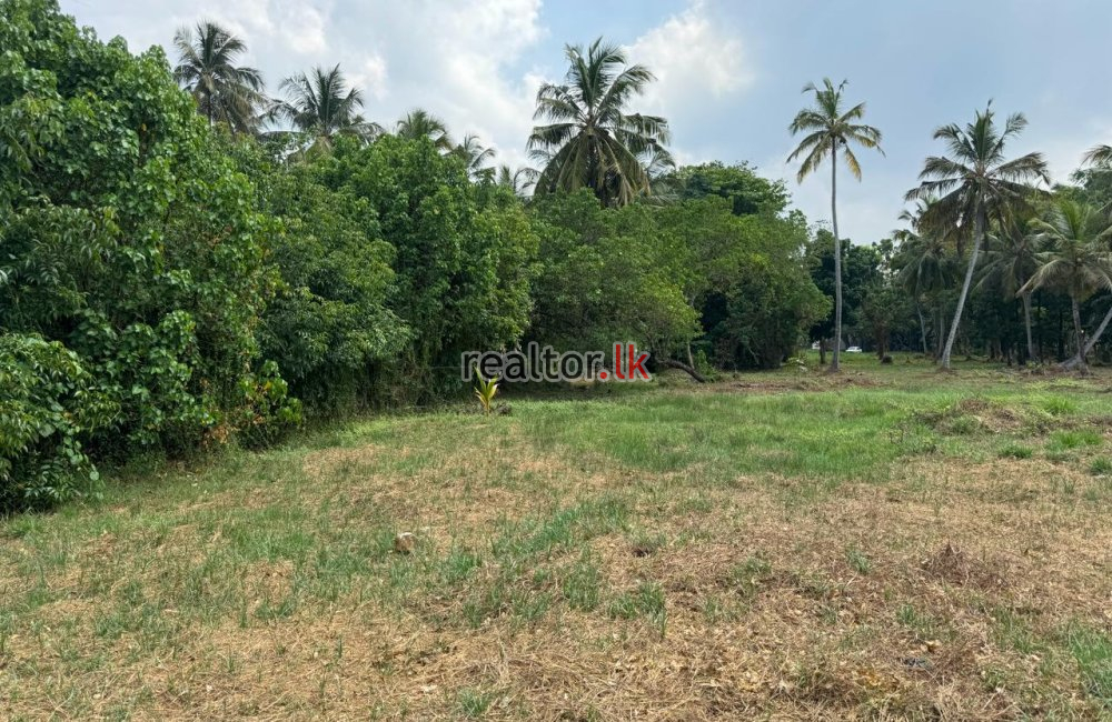 Facing Negombo Rd Land For Sale At Katunayake