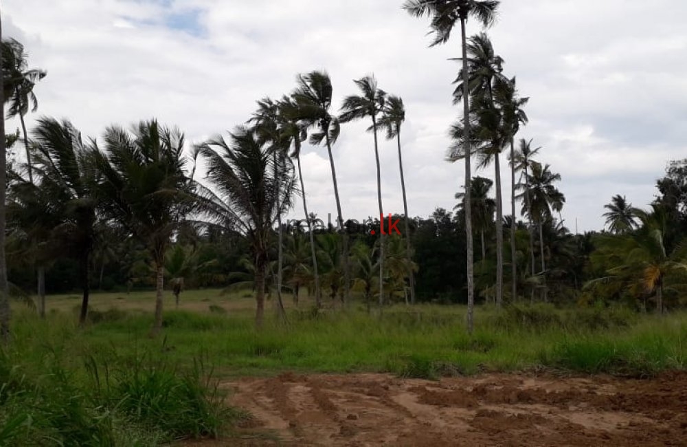 Land At Facing Negombo – Kurunegala Rd