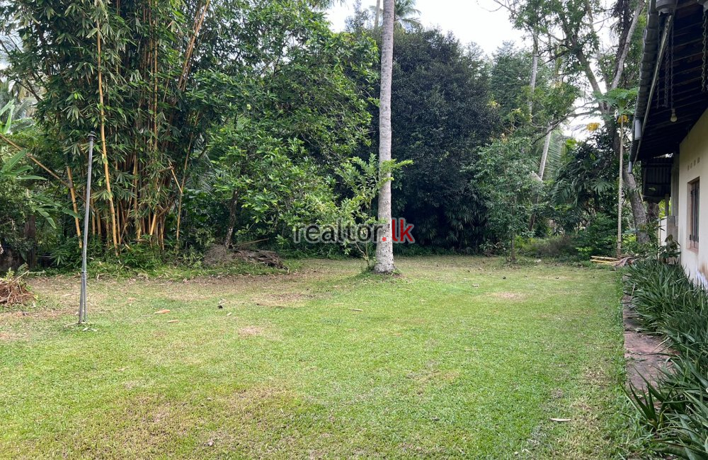 Land For Sale In Pannala