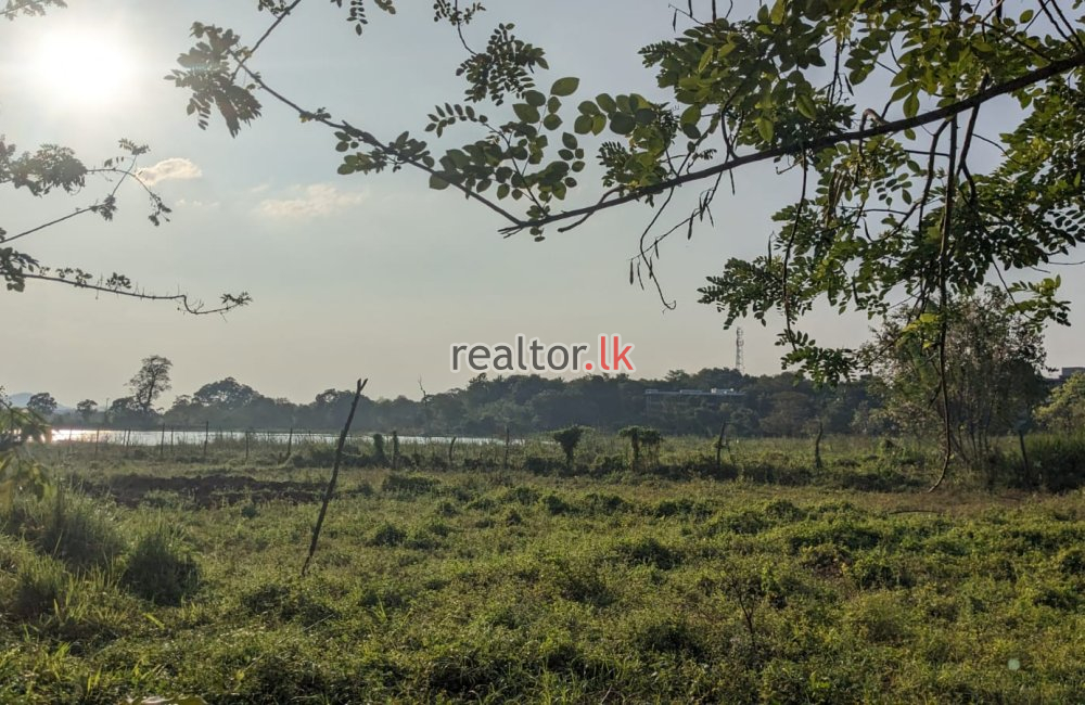 5.5 Acres Land For Sale At Dambulla