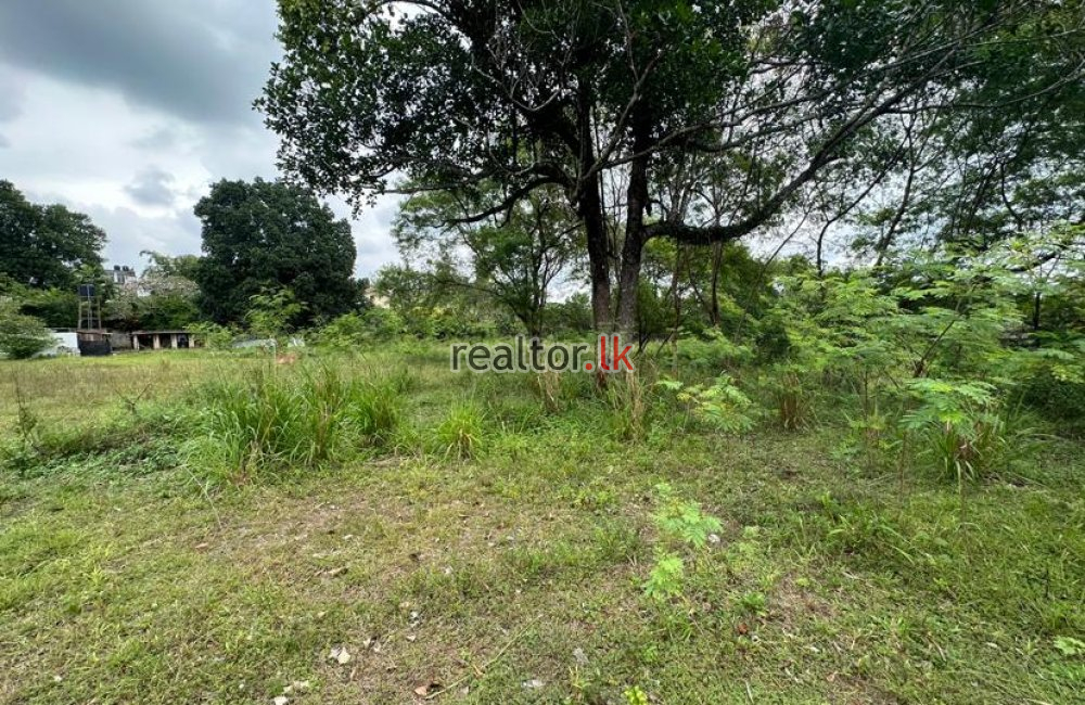 Land For Sale Facing Kottawa Road Pannipitiya