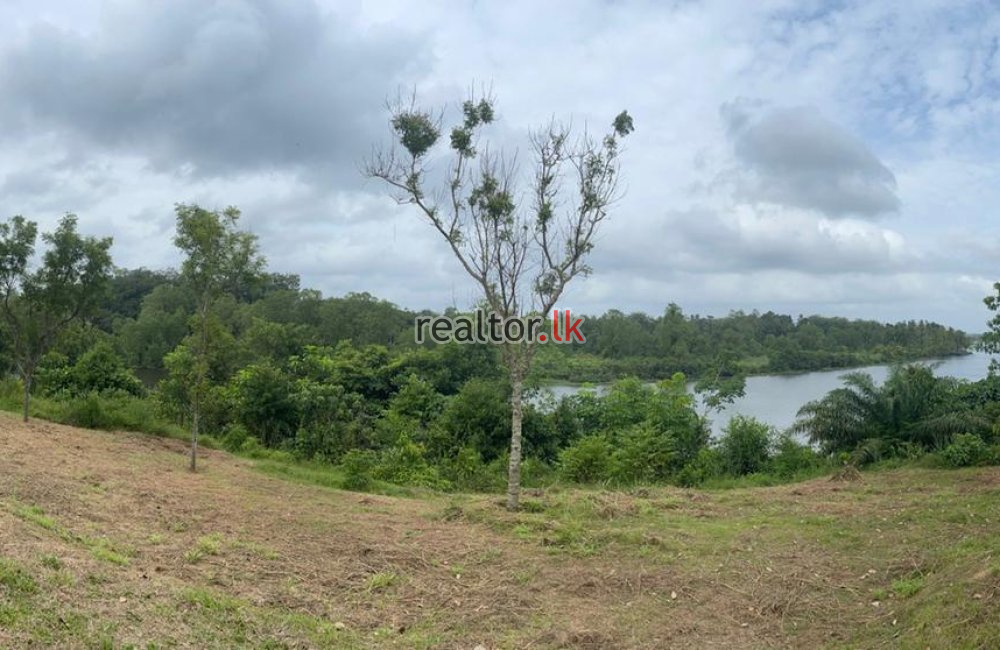 Bolgoda River Facing Land For Sale Panadura