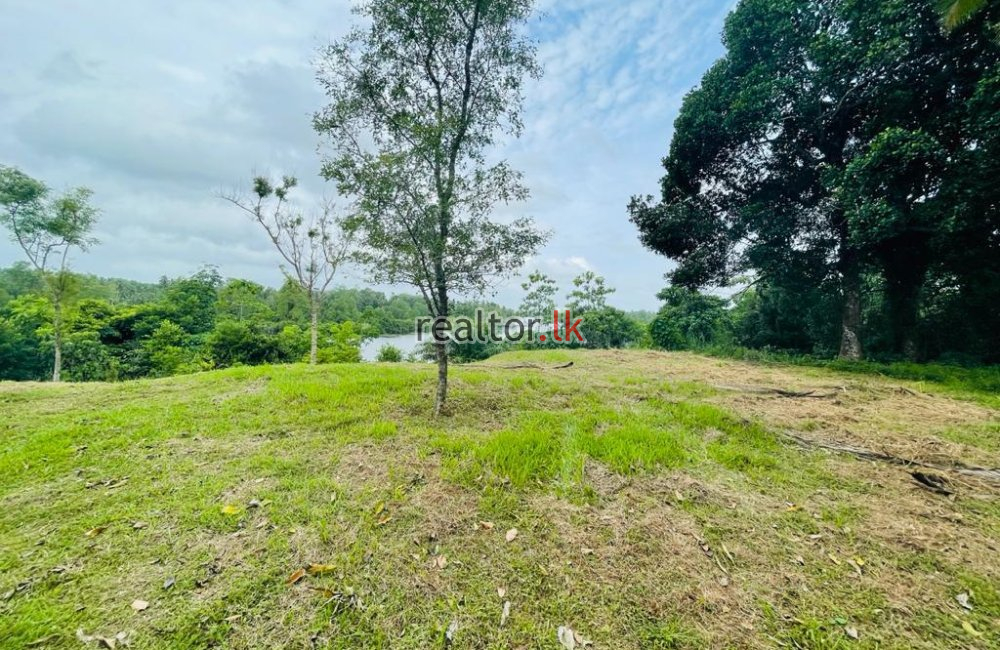 Bolgoda River Facing Land For Sale Panadura