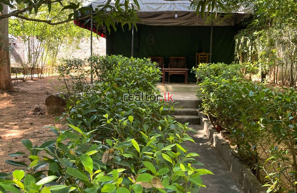 Hotel For Sale In Udawalawe