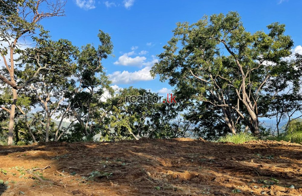 Land For Sale With Breathtaking Views In Ella