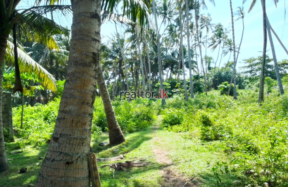 Land For Sale At Kalutara