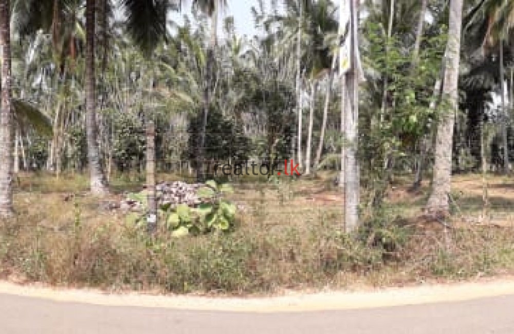 Negombo Road Land For Sale