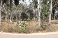 Negombo Road Land For Sale