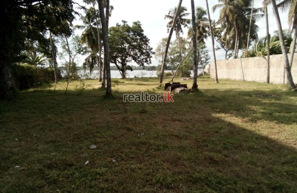 Facing Bolgoda Lake Land For Sale At Panadura