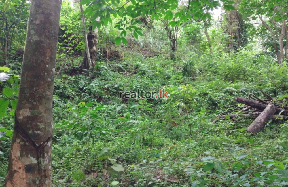 Facing Kandy Road Land For Sale