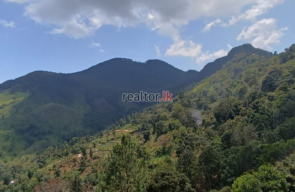 Mountain View Land For Sale In Bambaragama