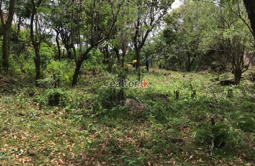 Bambarakanda Kalupahana Land For Sale