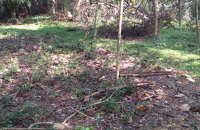 Land At Facing Dambulla - Kurunegala Rd