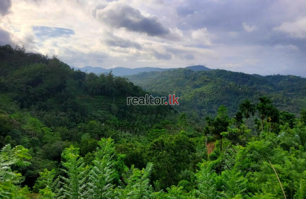 Land For Sale At Deniyaya