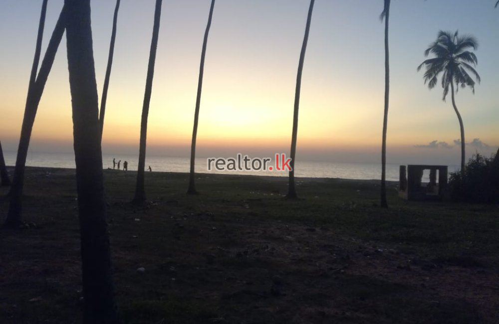 23 Acres Beach Front Land For Sale In Marawila