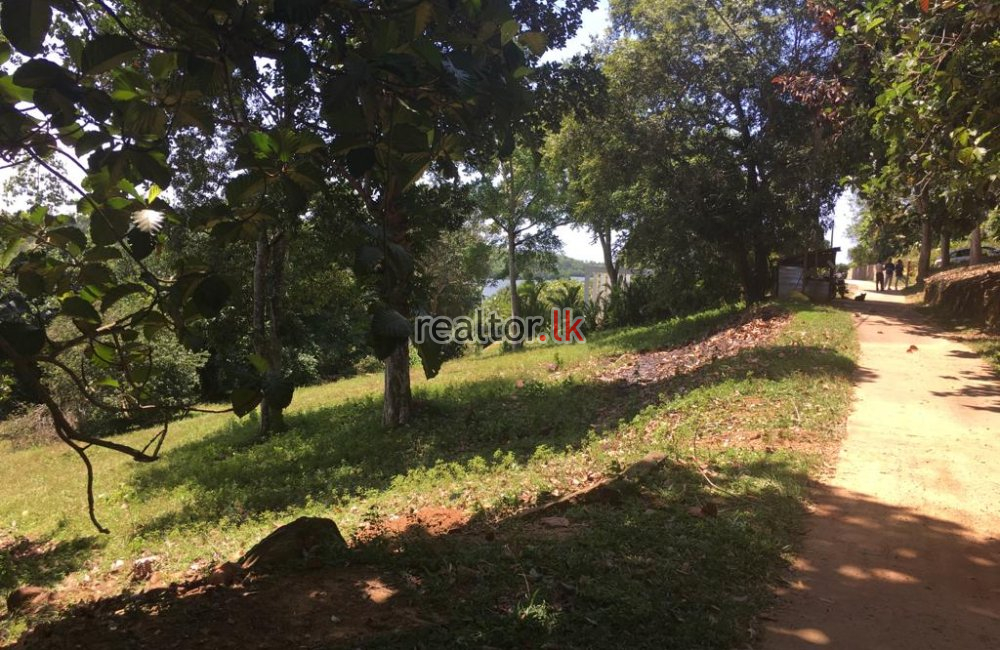 Bordering Koggala Land For Sale