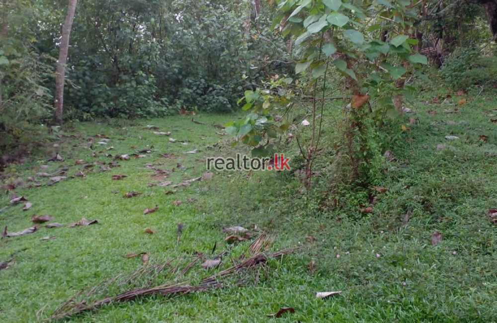 Facing Bolgoda Lake Land For Sale