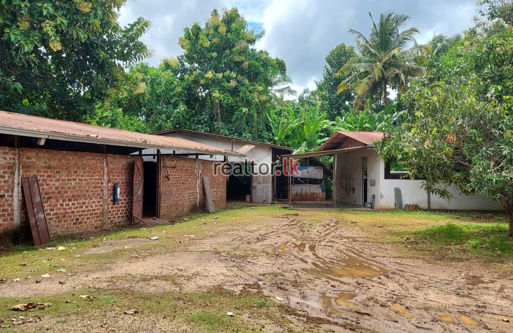 Factory For Sale At Kurunegala Pilessa