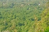 Beach View Land For Sale In Weligama