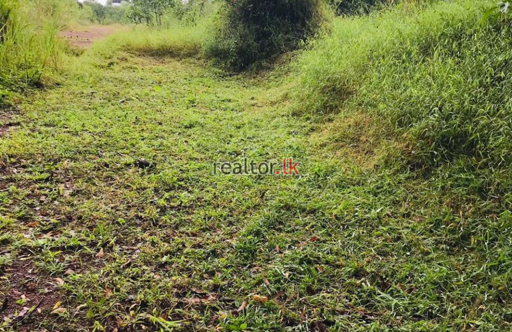 Land For Sale In Weliweriya Gampaha