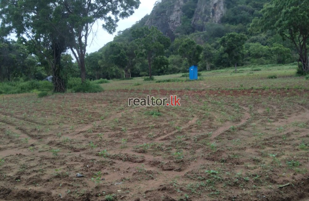 Paddy Land For Sale In Ranamukgama