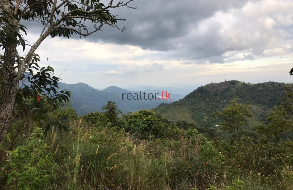 Mountain View Land For Sale In Ella