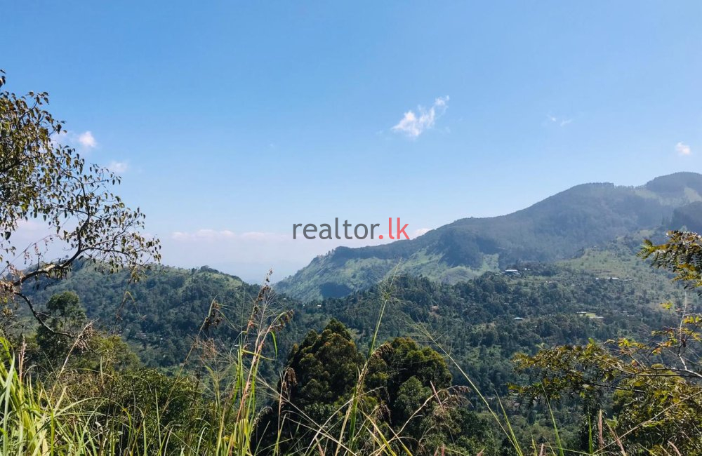 Mountain View Land For Sale In Ella