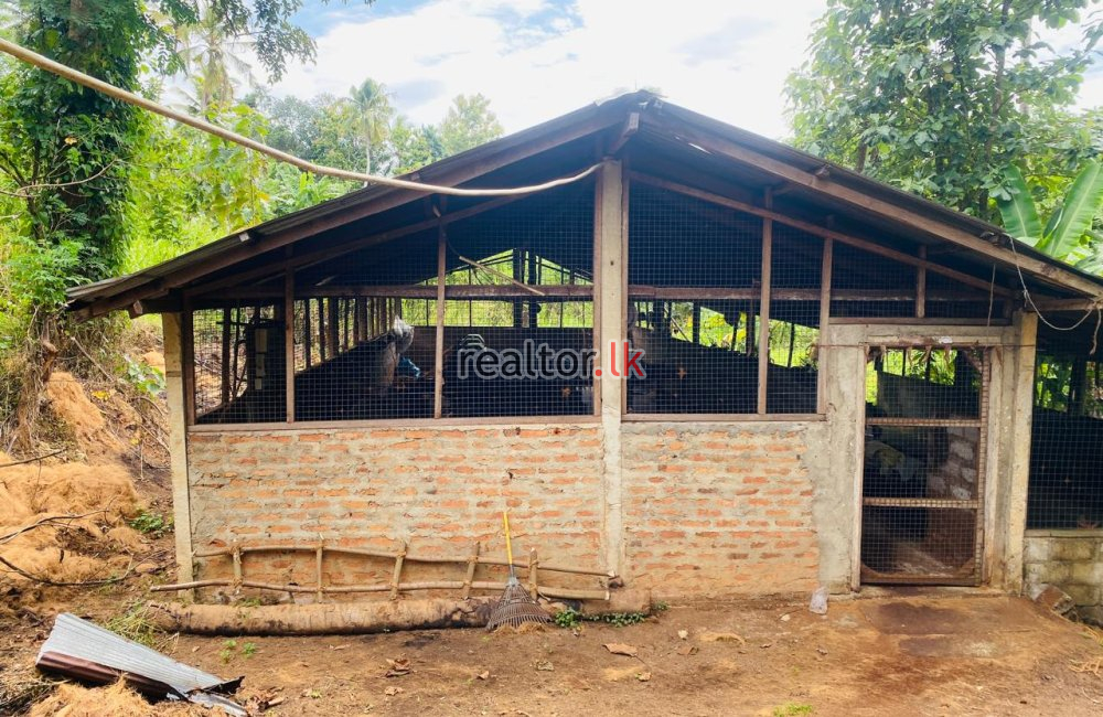 Coir Mill Factory & House For Sale In Beliatta