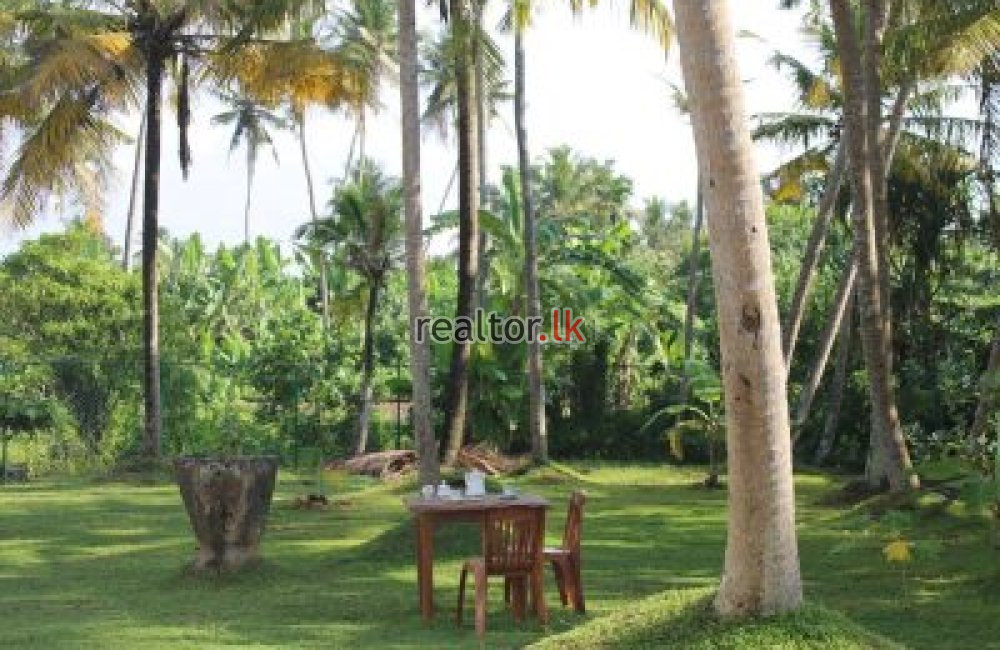 Furnished Beach Front Hotel For Rent In Ahangama