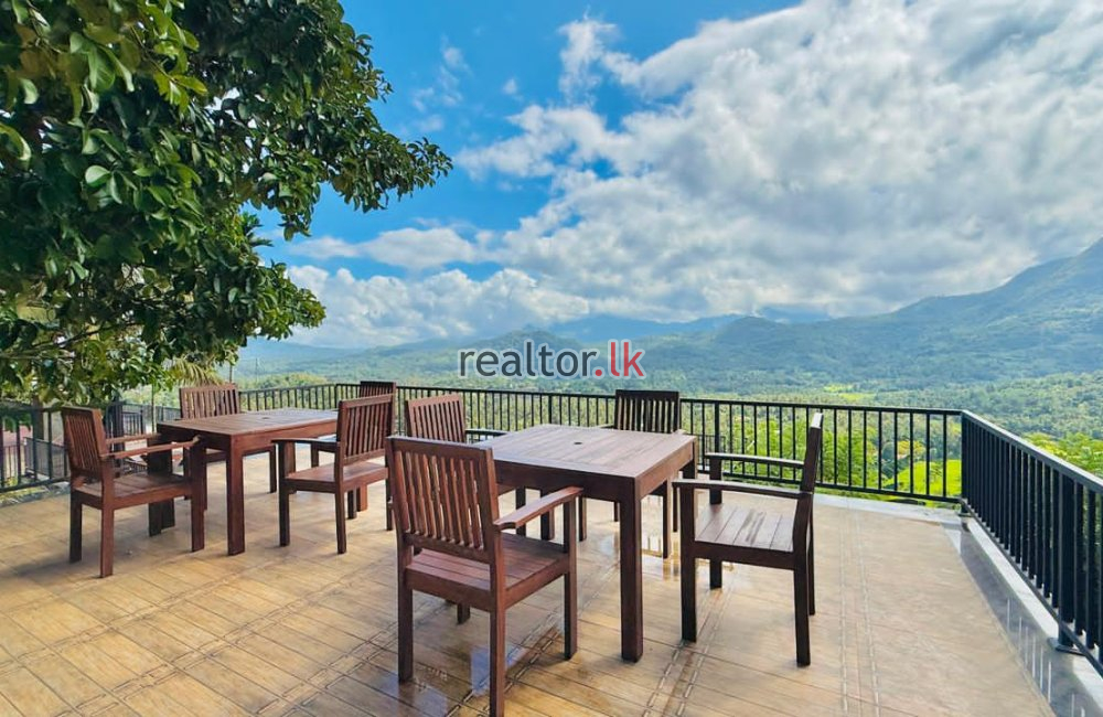 Mixed Estate Cultivation For Sale In Matale